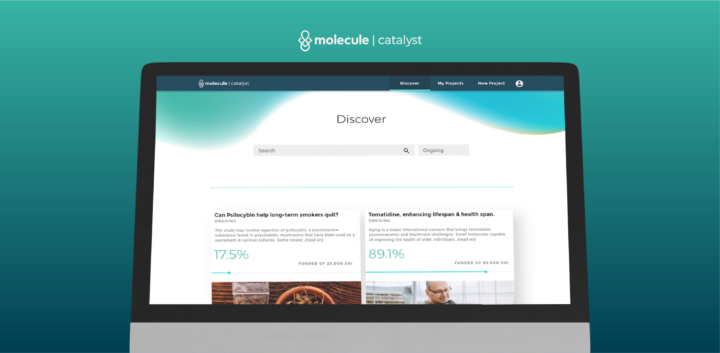 Mockup Preview Molecule Catalyst